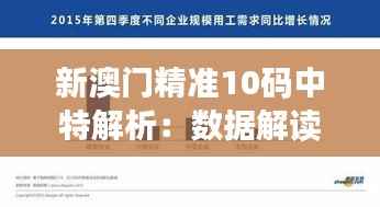 新澳门精准10码中特解析：数据解读与管理版DZN801.71