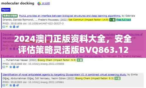 2024澳门正版资料大全,安全评估策略灵活版BVQ863.12