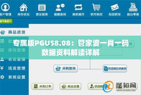 专属版PGU58.08:管家婆一肖一码数据资料解读详解