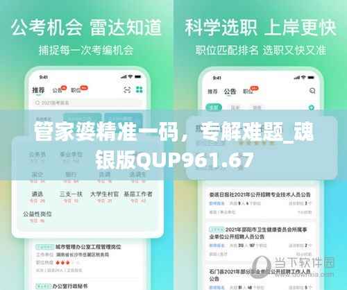 管家婆精准一码,专解难题_魂银版QUP961.67