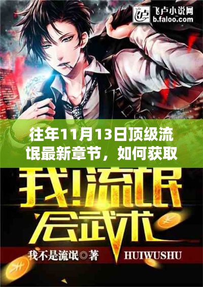 往年11月13日顶级小说最新章节获取指南与步骤