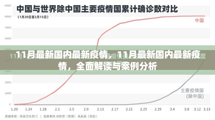 全面解读与案例分析,11月国内最新疫情综述