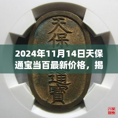 揭秘,天保通宝当百最新价格——2024年收藏市场洞察报告(附日期)