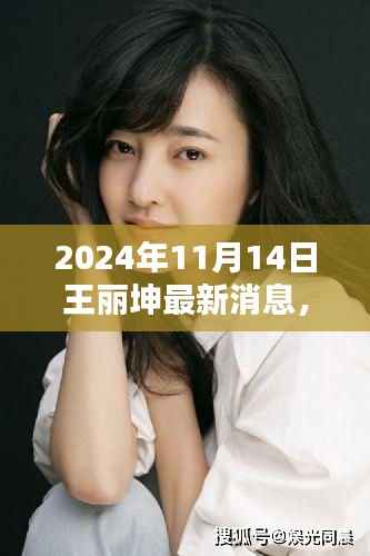 王丽坤2024年11月14日最新动态,星光璀璨开启崭新篇章