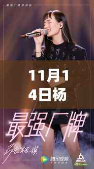 杨涛贺艳娜新歌发布,音符中的时代印记与音乐传奇再续写