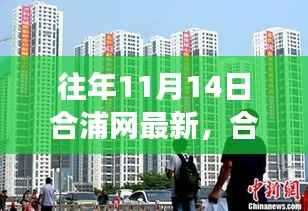 合浦网历年11月14日回顾,新闻背后的故事与影响深度解析