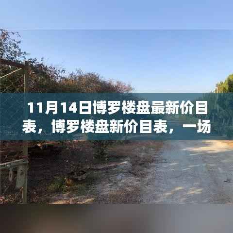 博罗楼盘最新价目表揭晓,家庭置业之旅启程