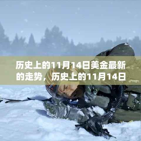 揭秘历史上的美金走势,揭秘背后的故事与成长的力量——以11月14日为例的探讨