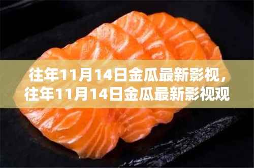 往年11月14日金瓜影视指南,从初学者到进阶用户的全方位教程及最新影视观看体验
