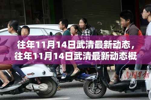 往年11月14日武清动态概览，最新发展与资讯汇总