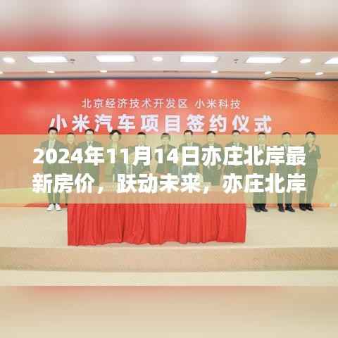 跃动未来,亦庄北岸房价变迁背后的励志故事与梦想拥抱学习