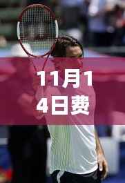 11月14日费德勒革新胜利篇章,智能胜场系统全新上线