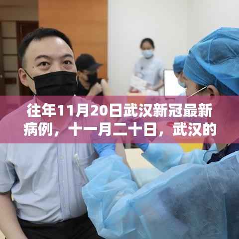 武汉暖心抗疫日常,十一月二十日的新冠病例回顾