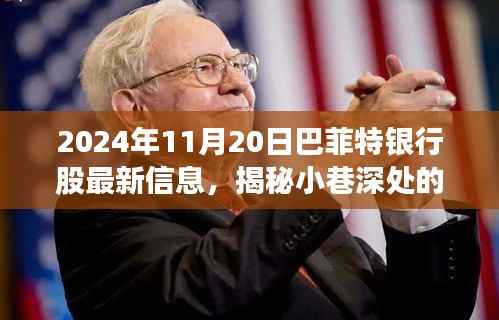 揭秘巴菲特银行股最新动态，探访独特小店，洞悉小巷深处的宝藏（2024年11月20日）