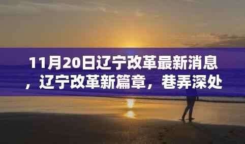 辽宁改革新篇章，巷弄深处的隐藏瑰宝揭秘，11月20日的惊喜更新