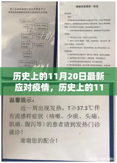 历史上的11月20日,最新疫情应对步骤指南
