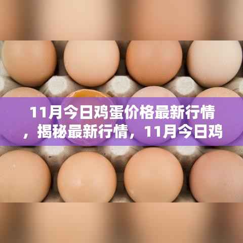揭秘最新行情,11月鸡蛋价格走势分析与今日价格播报