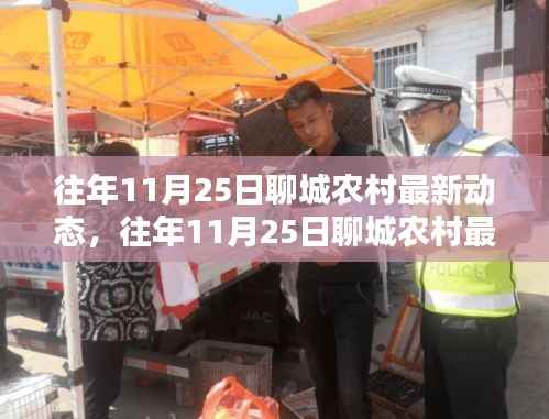 往年11月25日聊城农村最新动态深度解析,产品特性、使用体验与竞品对比评测报告