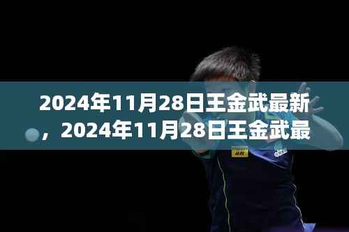 王金武最新动态揭秘,探索成功之路的新篇章,2024年11月28日