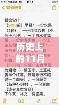 揭秘历史上的热门浪友资源背后的故事,11月28日的特殊纪念日