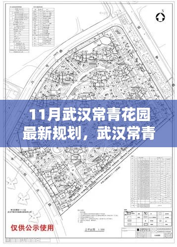 武汉常青花园最新规划解析,机遇与挑战并存