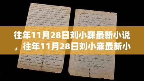 往年11月28日刘小寐最新小说,深度解读与观点碰撞