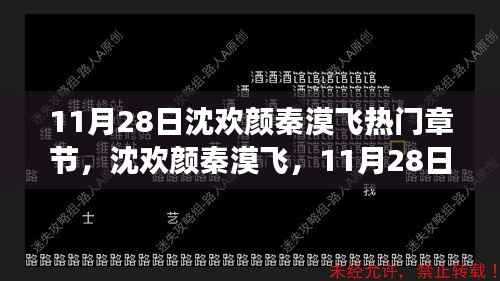 11月28日热门章节揭秘，沈欢颜秦漠飞背后的故事与影响