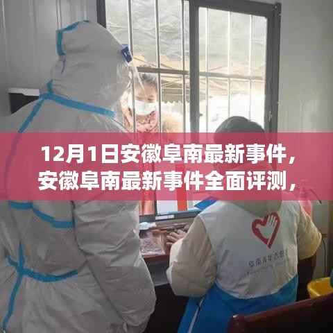 安徽阜南最新事件深度解析，特性、使用体验与目标用户群体全面评测