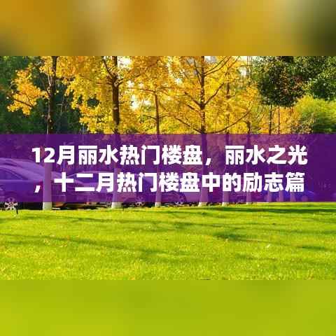 丽水之光,十二月热门楼盘的励志篇章,变化中的自信与成就感