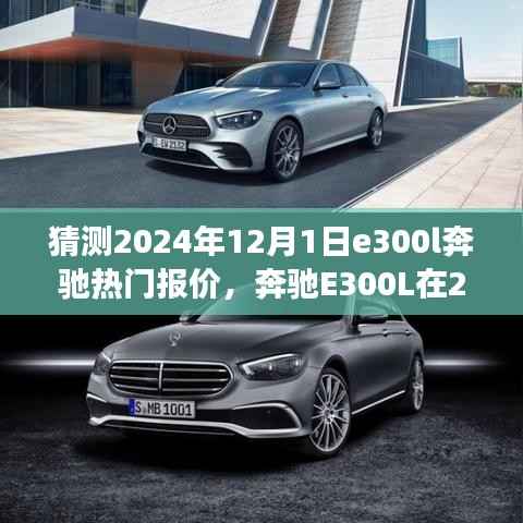 时光流转下的豪华座驾,奔驰E300L 2024年热门报价预测