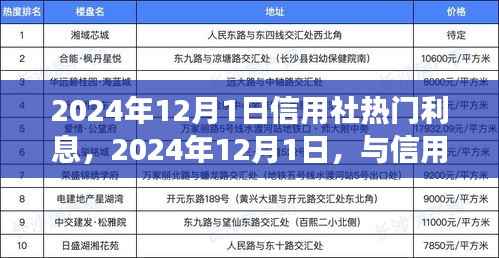 2024年12月1日信用社利息热点解析,探寻自然之美与内心宁静的旅程