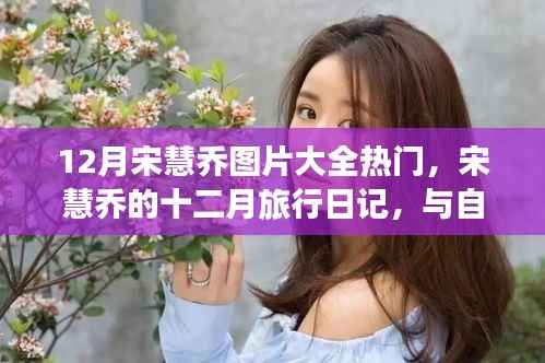 宋慧乔十二月旅行日记,与自然美景的邂逅与内心的平和探索