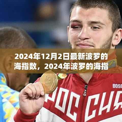 波罗的海指数最新动态，深层影响与前景展望（2024年12月）