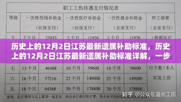 江苏最新遗属补助标准详解及申请流程指南,聚焦历史上的12月2日更新内容