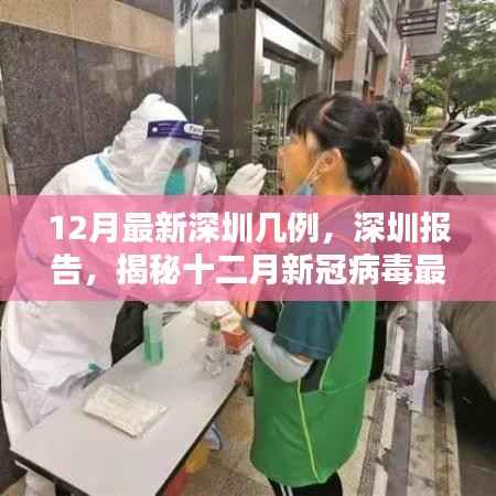 深圳报告揭秘,十二月新冠病毒最新病例分析与数据更新