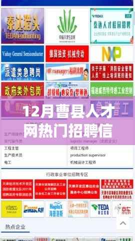 废寝忘食 第14页