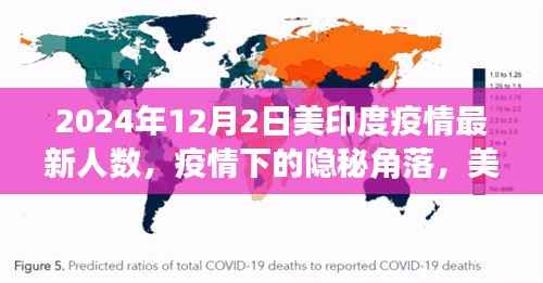 花开无言 第11页