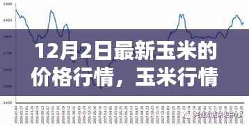 最新玉米行情大揭秘,价格走势分析与预测(12月2日更新)