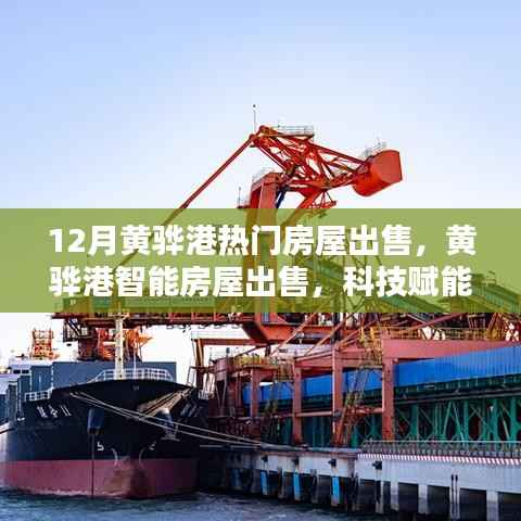 黄骅港智能房屋热销,科技赋能生活,未来居住新体验
