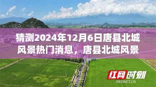 唐县北城风景未来展望,温馨猜想与友情陪伴的美好时光(2024年12月6日热门消息)