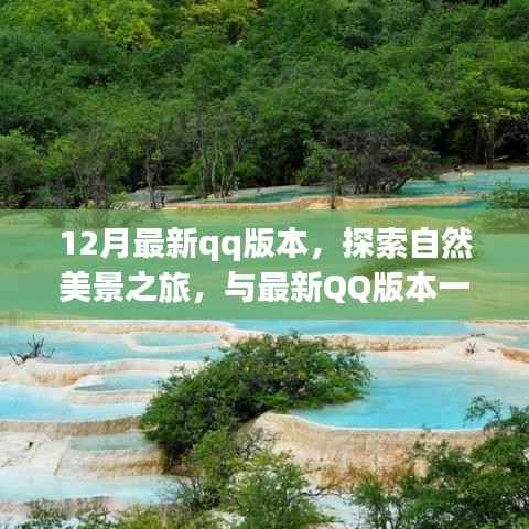 最新QQ版本带你开启自然美景探索之旅,寻找内心的宁静