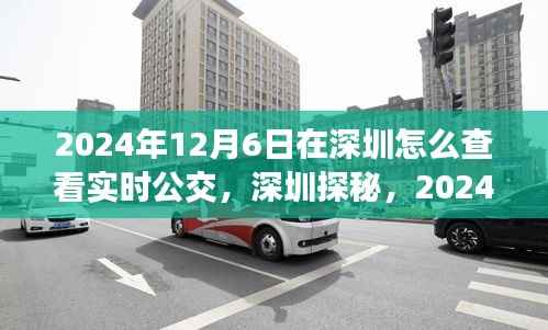 深圳探秘,追寻自然与内心宁静的公交之旅,实时公交查询指南(2024年)