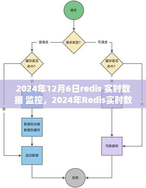 洞悉未来数据洞察与性能优化，Redis实时数据监控在行动（2024年）