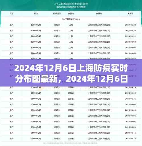 最新指南，2024年12月6日上海防疫实时分布图查询流程详解