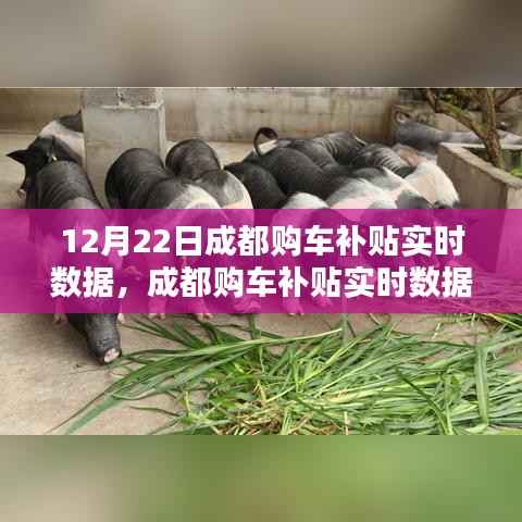 成都购车补贴实时数据解析,以最新数据为例探讨补贴情况