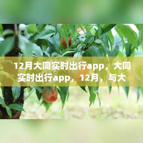 大同实时出行APP，与大自然共舞，寻找内心的宁静与平和（十二月版）