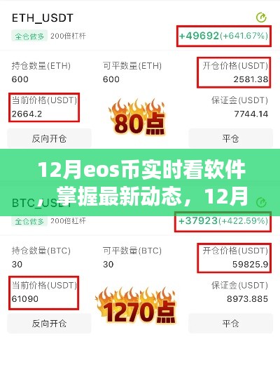 12月EOS币实时查看软件,掌握最新动态的操作指南