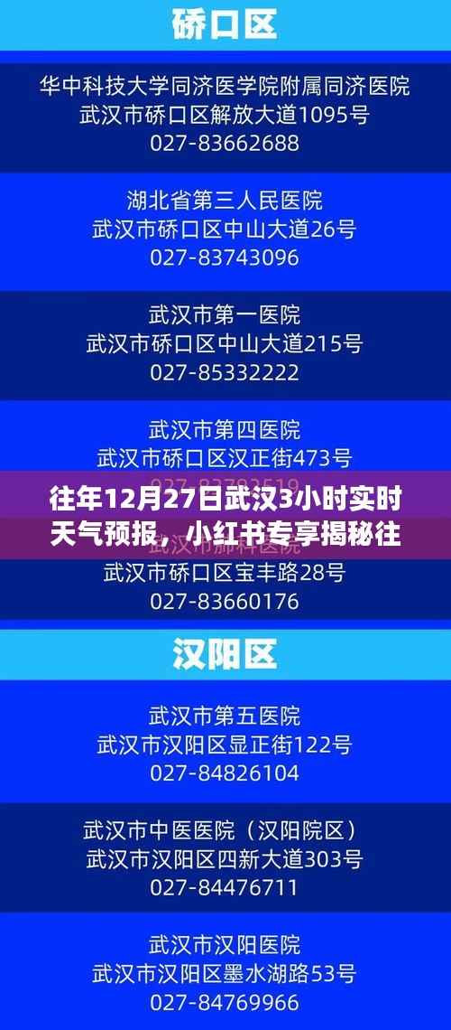 揭秘往年12月27日武汉三小时实时天气预报，小红书天气预报助你应对天气变化！