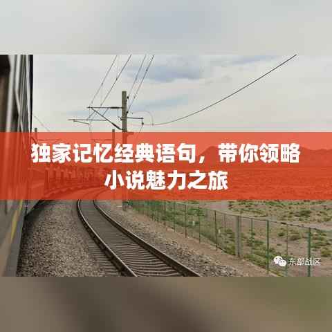 独家记忆经典语句,带你领略小说魅力之旅