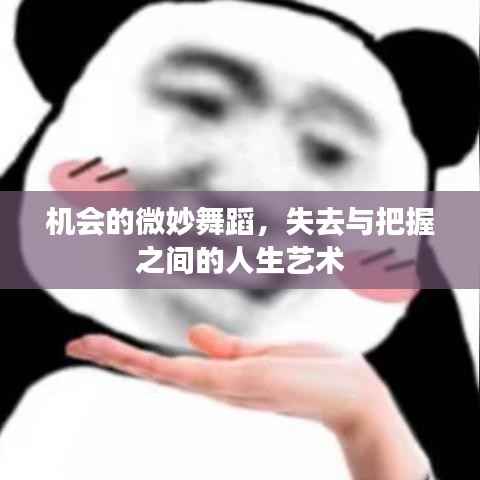 机会的微妙舞蹈,失去与把握之间的人生艺术